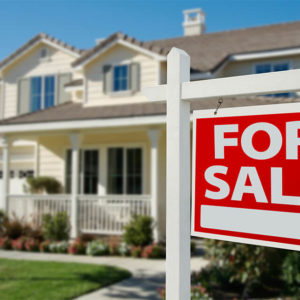 Real Estate Business Diploma