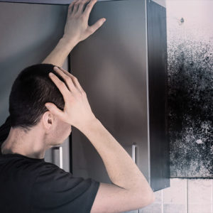 DIY: Free Your House from Mold