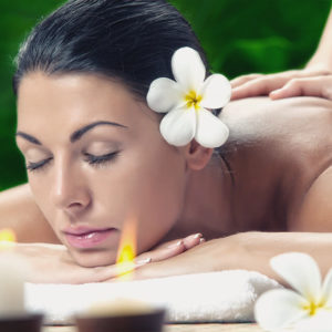 Professional Massage Therapist Diploma