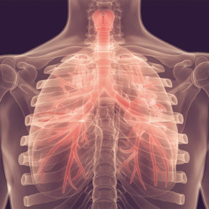 Human Disease and Treatment