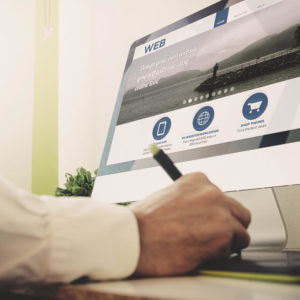 Professional Web Development Course