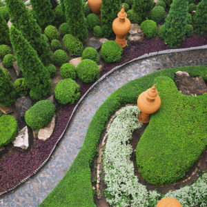 Garden Design and Maintenance Diploma
