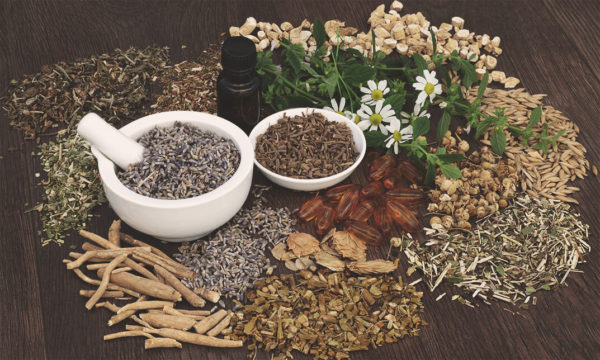 Holistic and Alternative Medicine Course Online