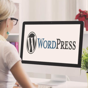 Mastering WordPress Optimization