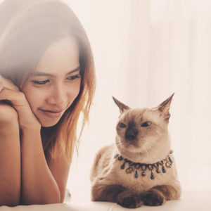 Know about Mammals