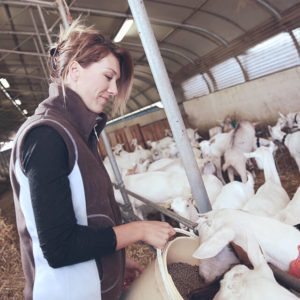 Goats Farming Perfect Course