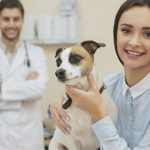 Accredited Pet Care Skills Training