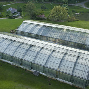 Accredited Diploma in Greenhouse Management