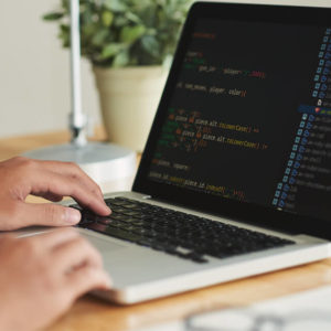Junior Web Developer Course
