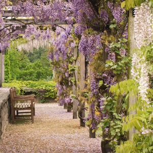 Garden Maintenance & Landscaping Course