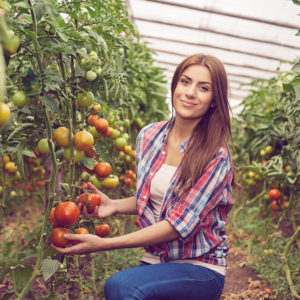 Greenhouse Growing Accredited Diploma