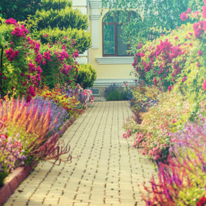 Accredited Diploma in Landscaping