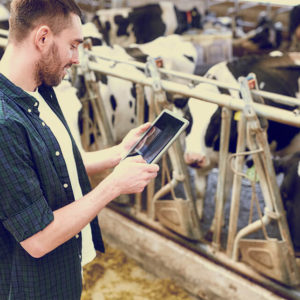 Certified Diploma in Poultry, Goat, Bee & Worm Farming