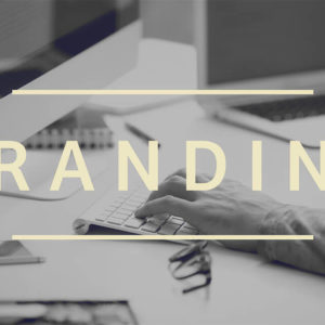 Accredited Branding Bundle Course