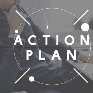 Action Plan and Vision Course