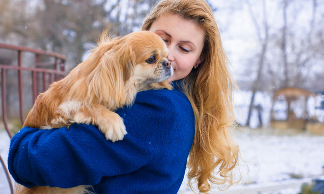 Animal Psychology Diploma