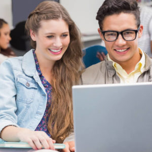 Computer Science and Programming Diploma