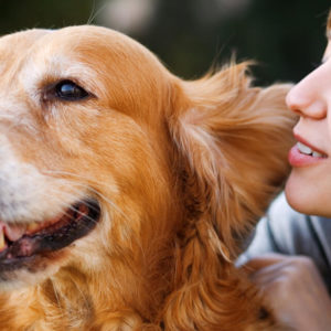 Animal Care: Dog Whispering and Pet Nutrition