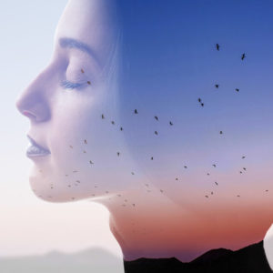 Developing a Reflective Practice Culture