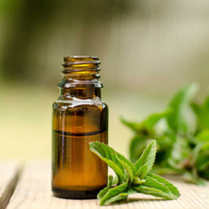 Natural Therapies: Aromatherapy and Essential Oils for Beginners