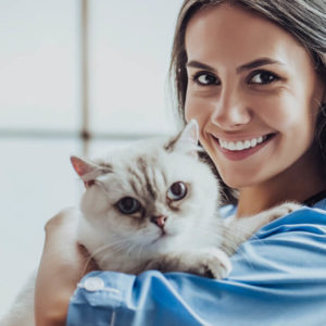 Pet Business Certificate (UK)