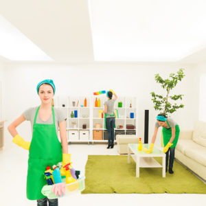 Organic cleaning products for a clean green home