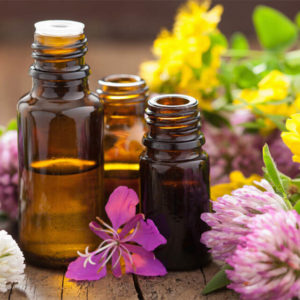 Aromatherapy-using Essential Oils in Your Everyday Life