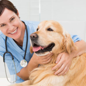 "Certificate of Hazards Prevention and OSHA Safety for Veterinary Sites (CVHOP) "