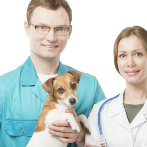 Certificate of Payment Options and Payment Security Proficiency for Veterinary Sites
