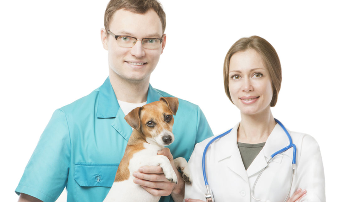 Certificate of Payment Options and Payment Security Proficiency for Veterinary Sites