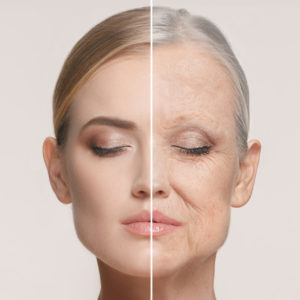 Secrets Of Reverse Aging & Longevity