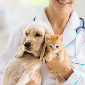 Animal Care Part - 1