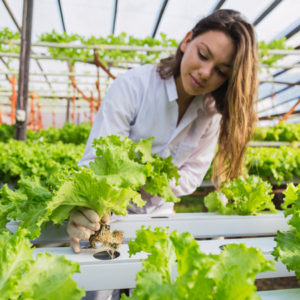 Hydroponics Gardening Part - 1