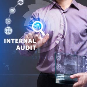 Internal Audit Skill Part - 1