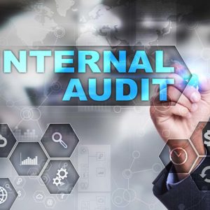 Internal Audit Skill Part - 2