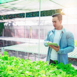 Build Your Own Home Hydroponic Farm