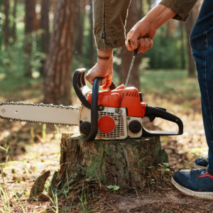 Chainsaw Safety Training