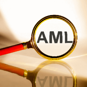 AML Investigation