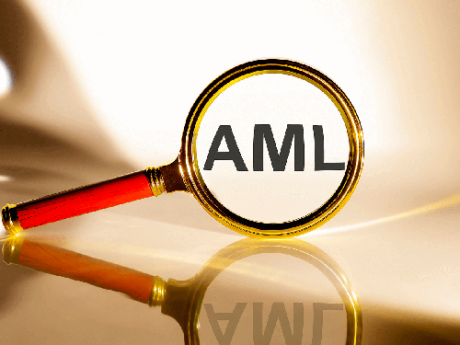 AML Investigation