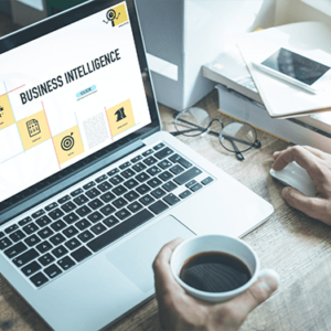 Business Intelligence and Data Mining
